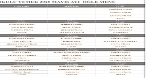 30-04-2025