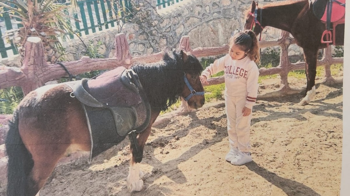 Hayvan Dostlarımızı Koruyoruz: Küçük Kalplerden Büyük Sevgiler 